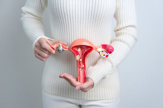 Holistic Solutions for Vaginal Health: Probiotics, Herbs, and Natural Remedies