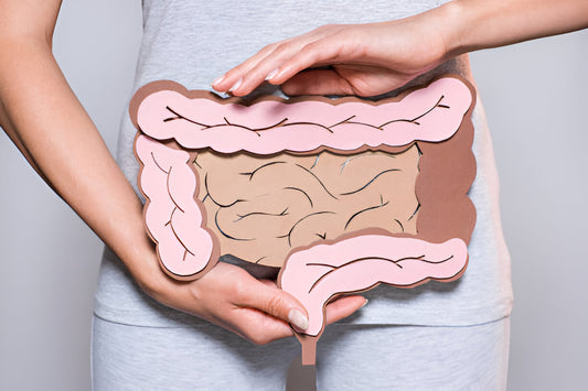 Gut Health and the Microbiome: Probiotic Foods for Optimal Wellness