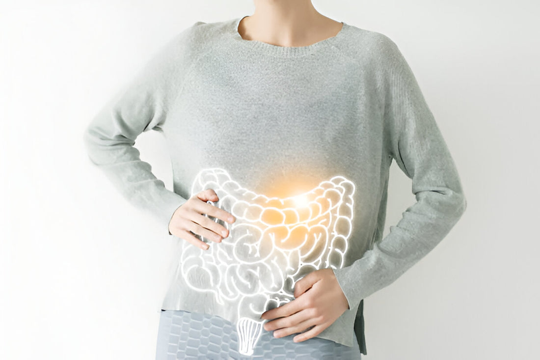 Holistic Approaches to Gut Health The Role of Probiotics and Prebiotics