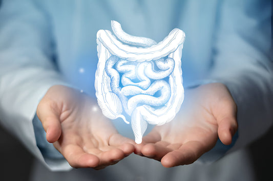 Lifestyle Factors for Optimal Gut Health: Beyond Diet