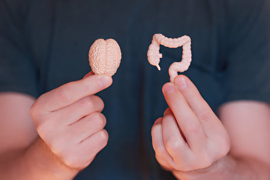 The Gut-Brain Connection: How Diet Impacts Mental Health