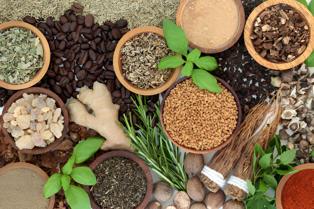 The Power of Adaptogens Natural Remedies for Stress and Fatigue