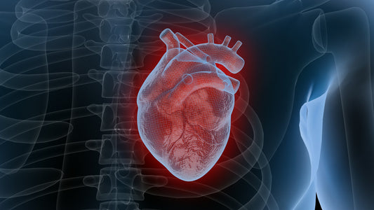 Top Heart-Healthy Herbs: Natural Ways to Boost Cardiovascular Wellness