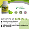 Smart Naturals High-potency Berberine